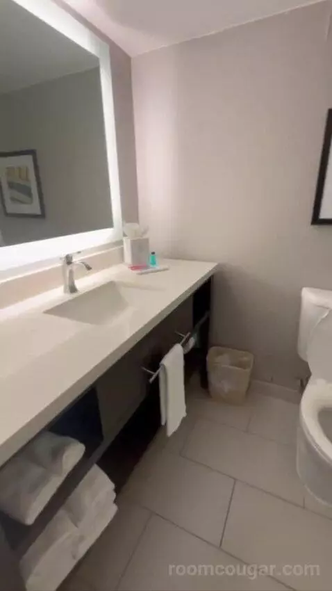 Conference Suite bathroom picture #5