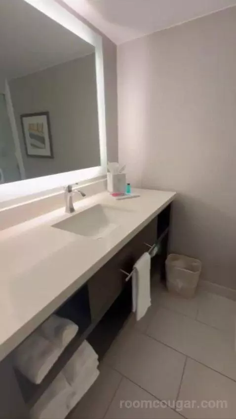 Conference Suite bathroom picture #6