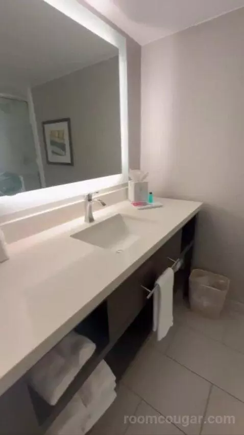 Conference Suite bathroom picture #7