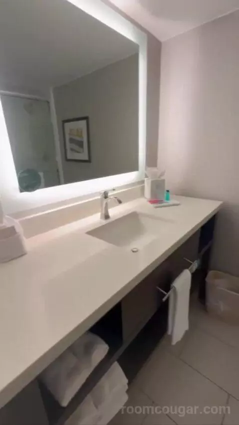 Conference Suite bathroom picture #8