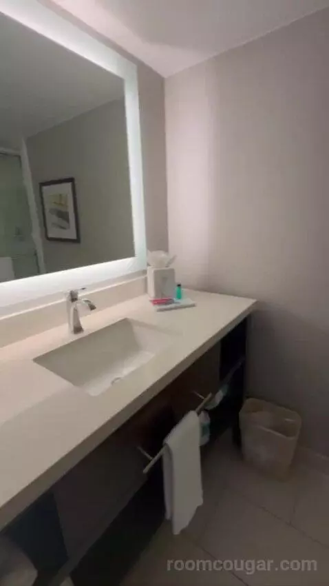 Conference Suite bathroom picture #9
