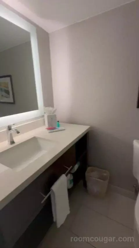 Conference Suite bathroom picture #10
