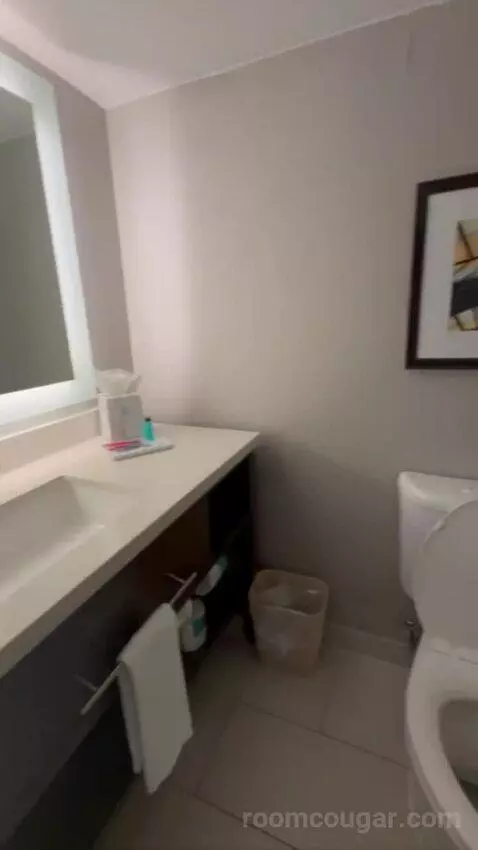 Conference Suite bathroom picture #11