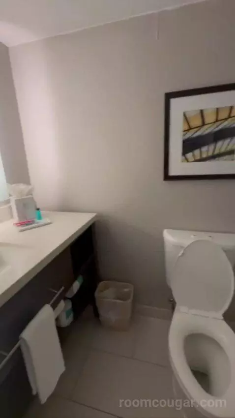 Conference Suite bathroom picture #12