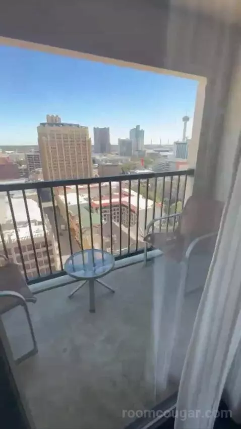 Conference Suite view picture #1