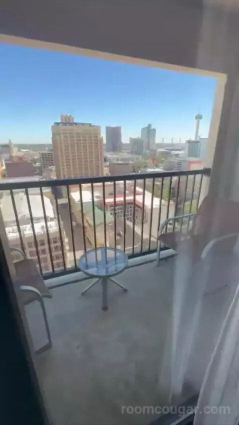 Conference Suite view picture #2