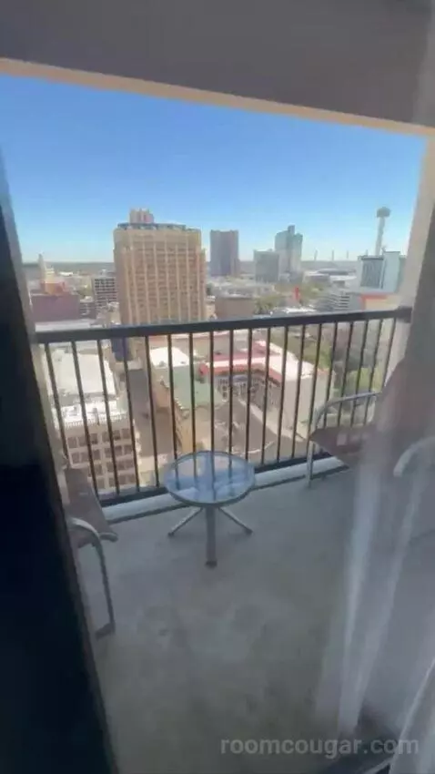 Conference Suite view picture #3