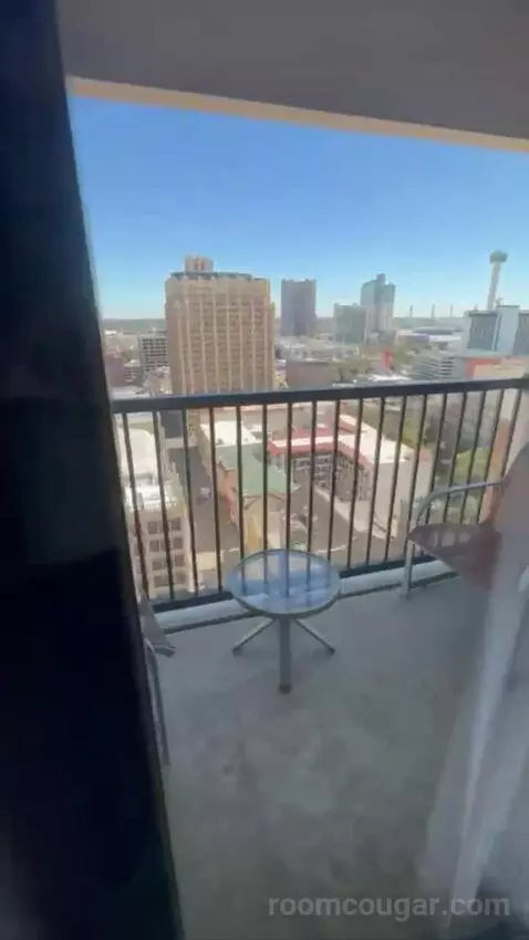 Conference Suite view picture #4