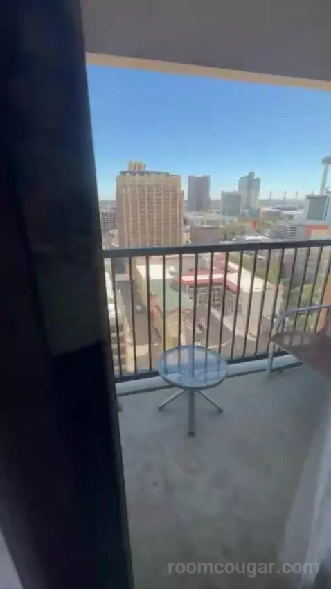 Conference Suite view picture #5