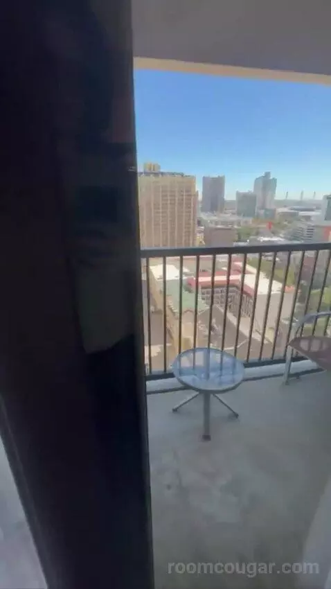 Conference Suite view picture #6