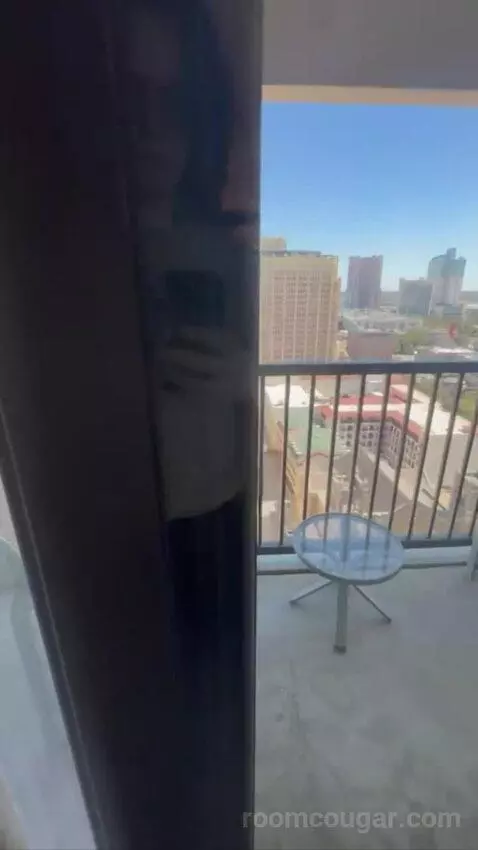 Conference Suite view picture #9