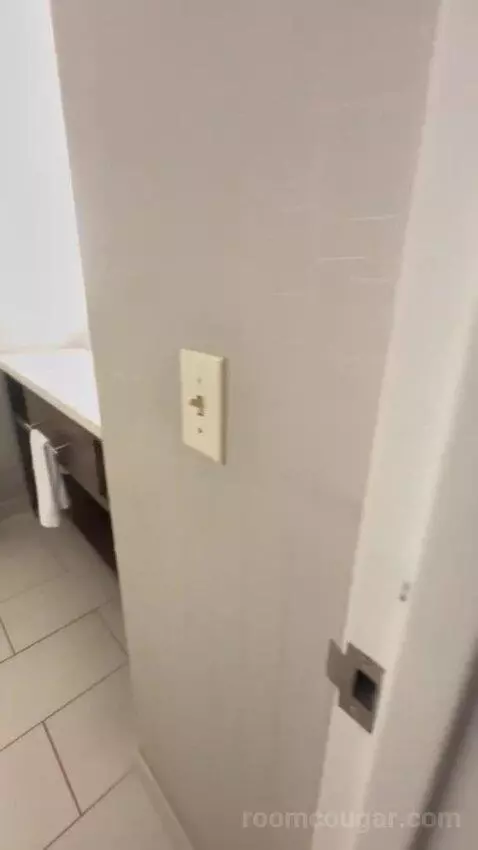 Junior Suite bathroom picture #1