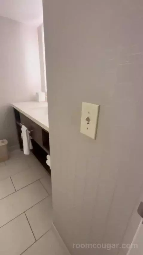 Junior Suite bathroom picture #3
