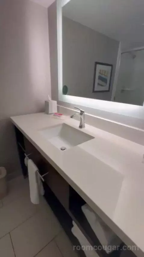 Junior Suite bathroom picture #6