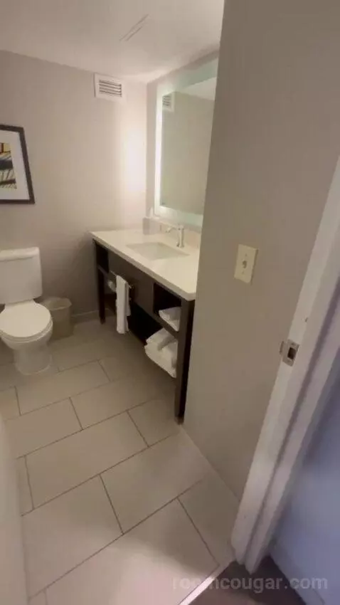Two Queen Beds Room bathroom picture #4