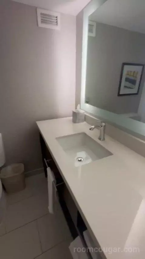 Two Queen Beds Room bathroom picture #8