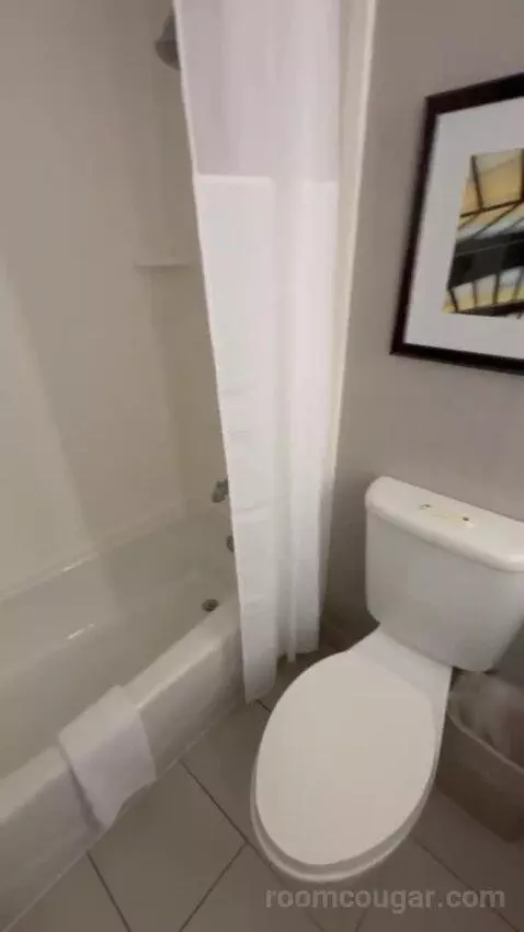 Two Queen Beds Room bathroom picture #9