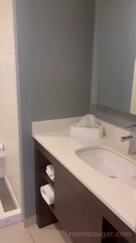 Queen Suite bathroom picture #6