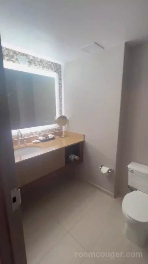 King Room bathroom picture #2