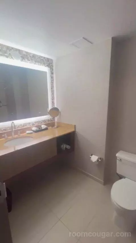 King Room bathroom picture #3