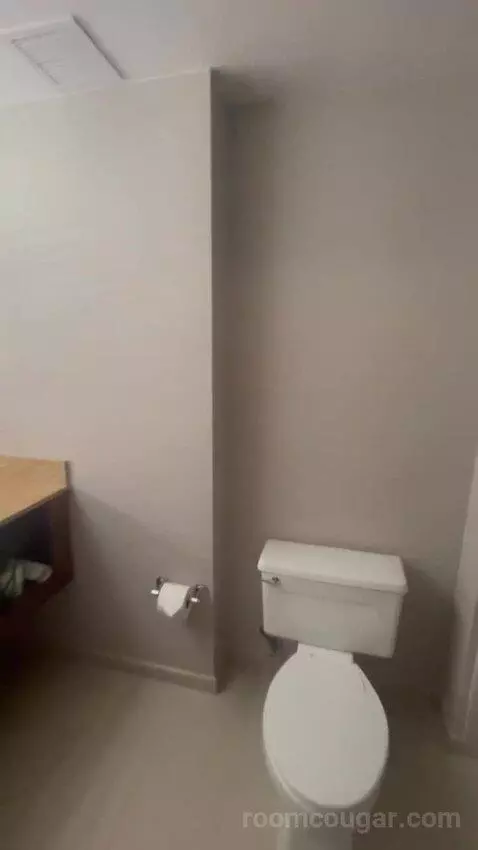 King Room bathroom picture #4