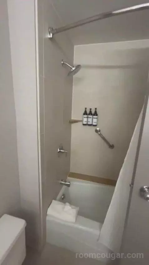 King Room bathroom picture #6