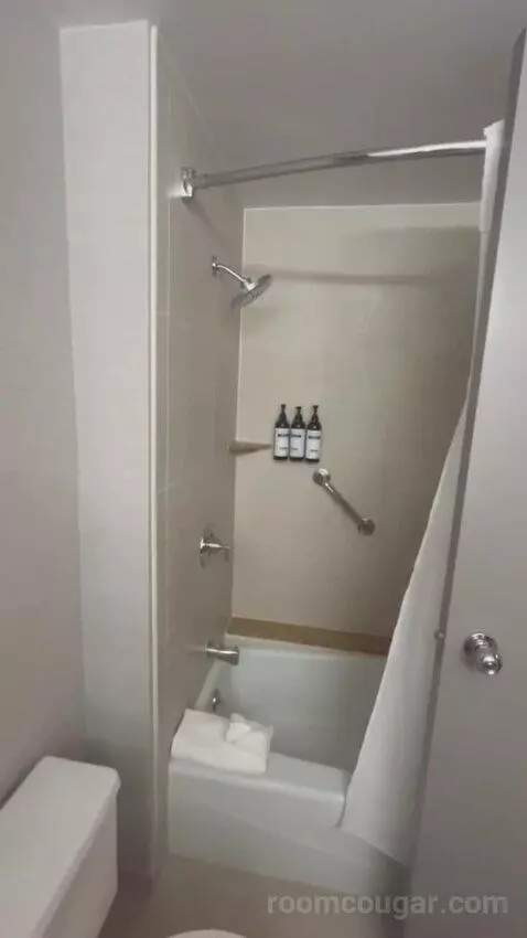 King Room bathroom picture #7