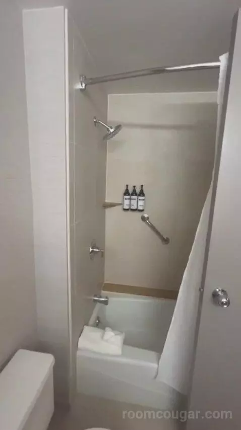 King Room bathroom picture #8