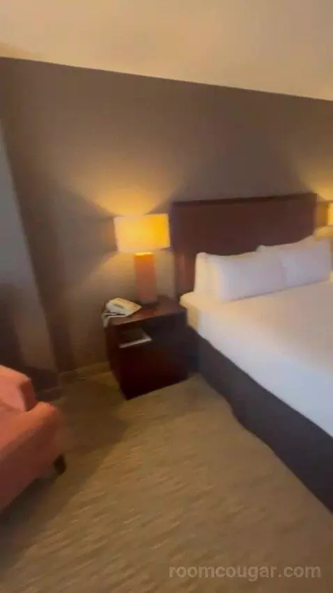 King Room bed picture #9