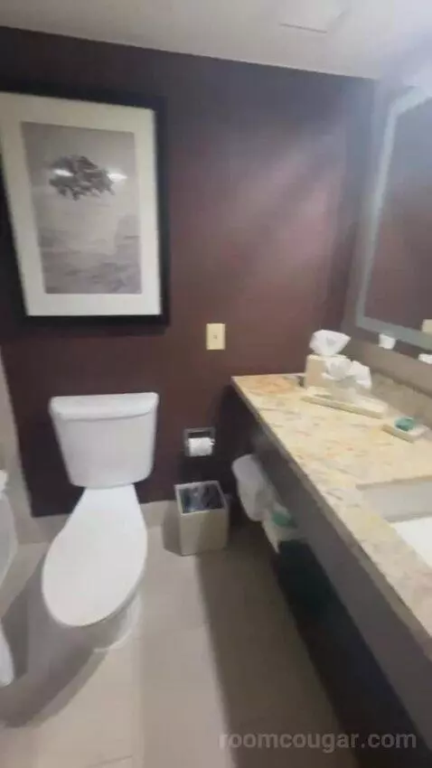 King Room bathroom picture #2