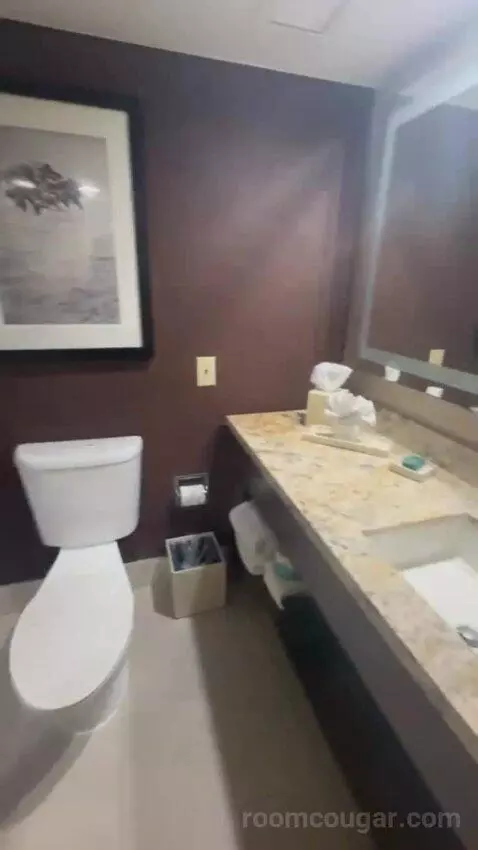 King Room bathroom picture #3