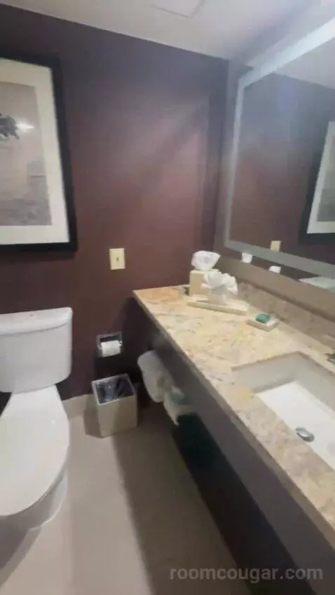 King Room bathroom picture #4