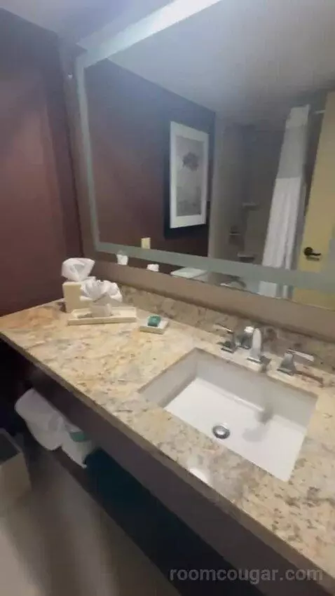 King Room bathroom picture #5