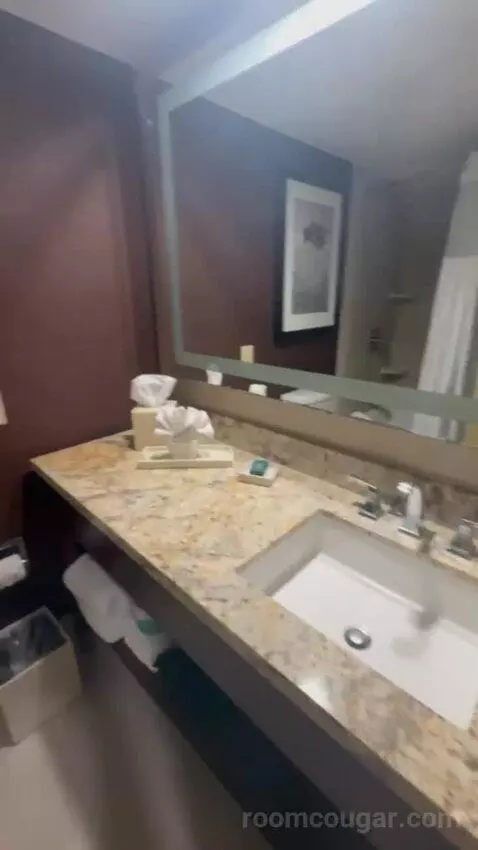 King Room bathroom picture #6