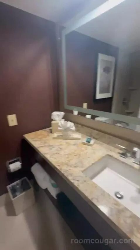 King Room bathroom picture #7