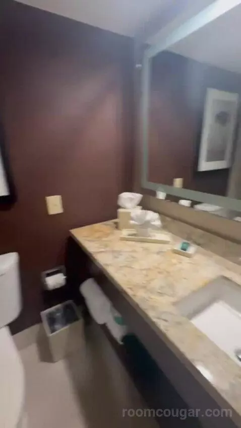 King Room bathroom picture #8