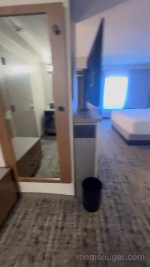 King Room with Sofa Bed bed picture #2