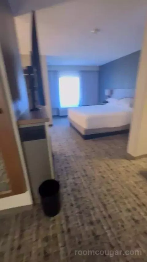 King Room with Sofa Bed bed picture #4
