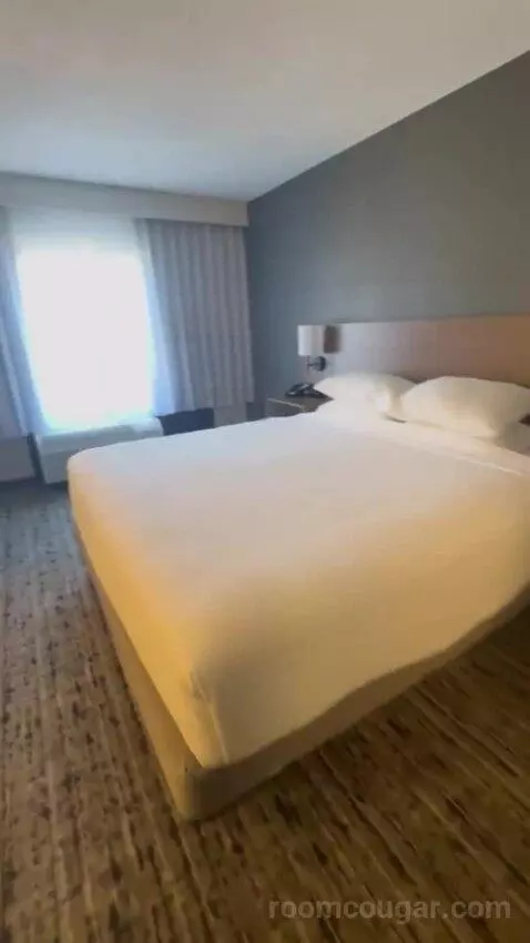King Room with Sofa Bed view picture #7