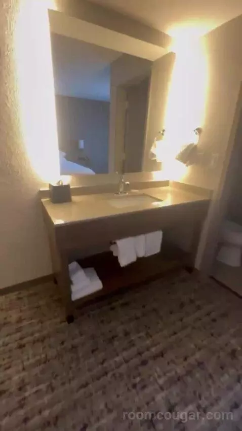 King Room with Sofa Bed bathroom picture #3