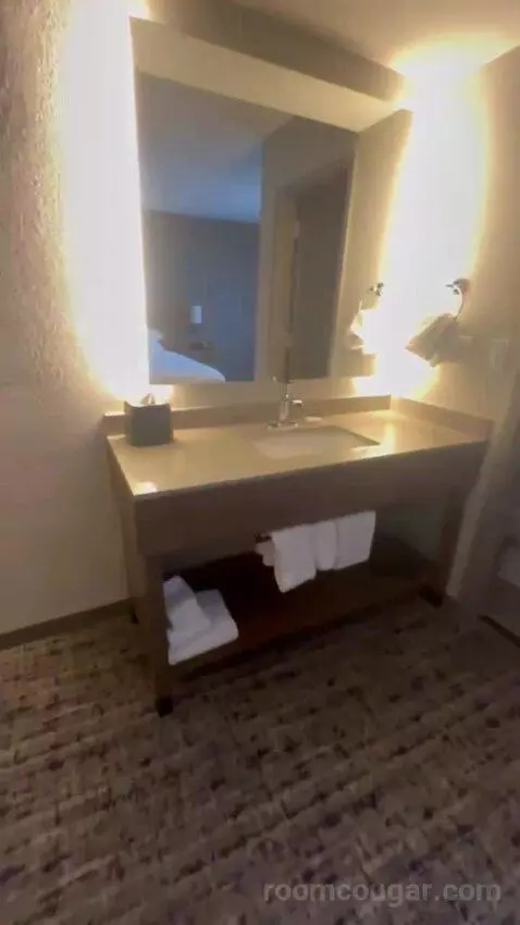 King Room with Sofa Bed bathroom picture #4