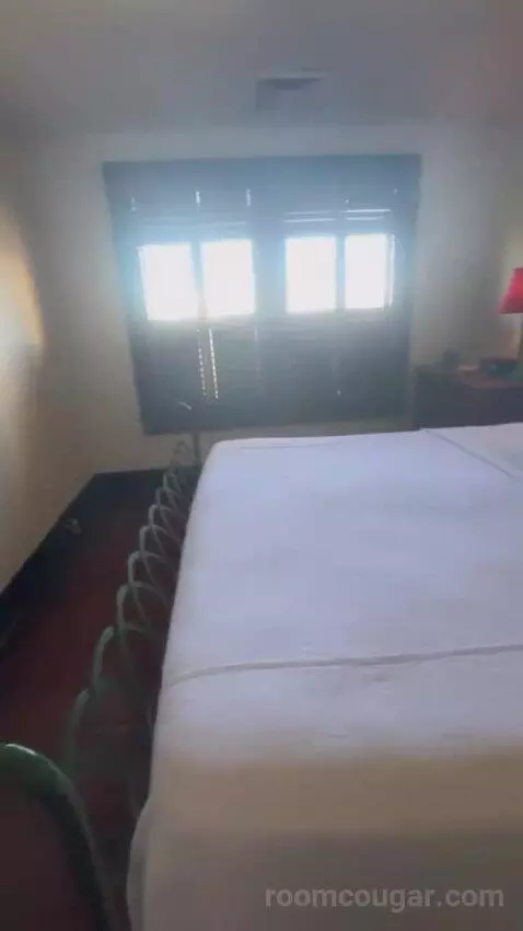 King Room bed picture #2