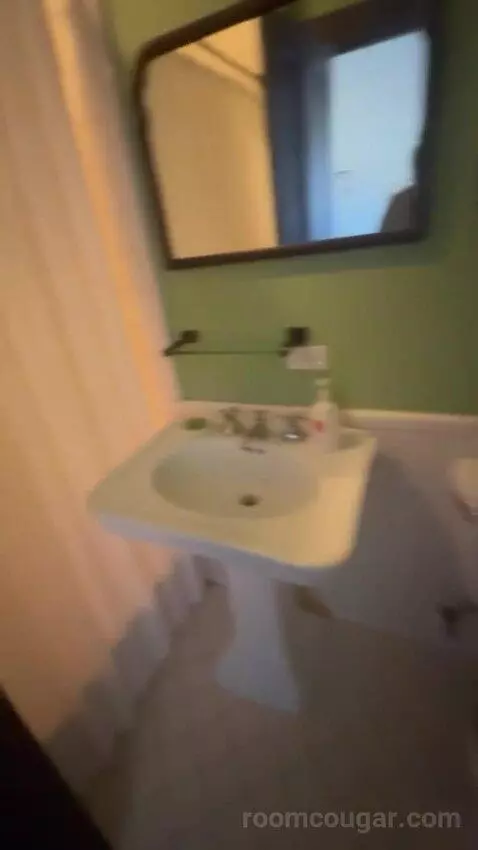 King Room bathroom picture #3