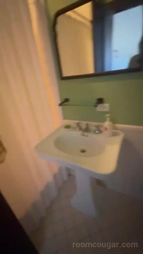 King Room bathroom picture #4