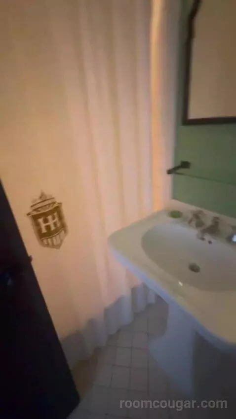King Room bathroom picture #5