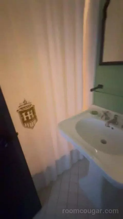 King Room bathroom picture #6