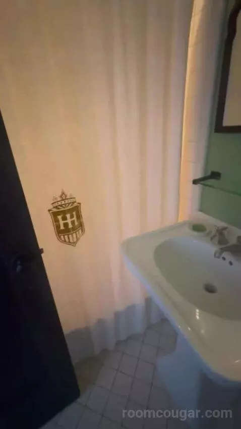 King Room bathroom picture #8