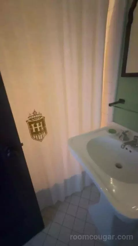 King Room bathroom picture #10