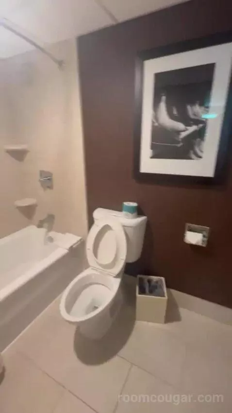 Presidential Suite bathroom picture #4