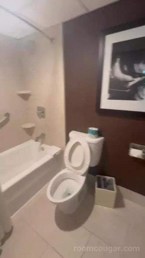 Presidential Suite bathroom picture #5